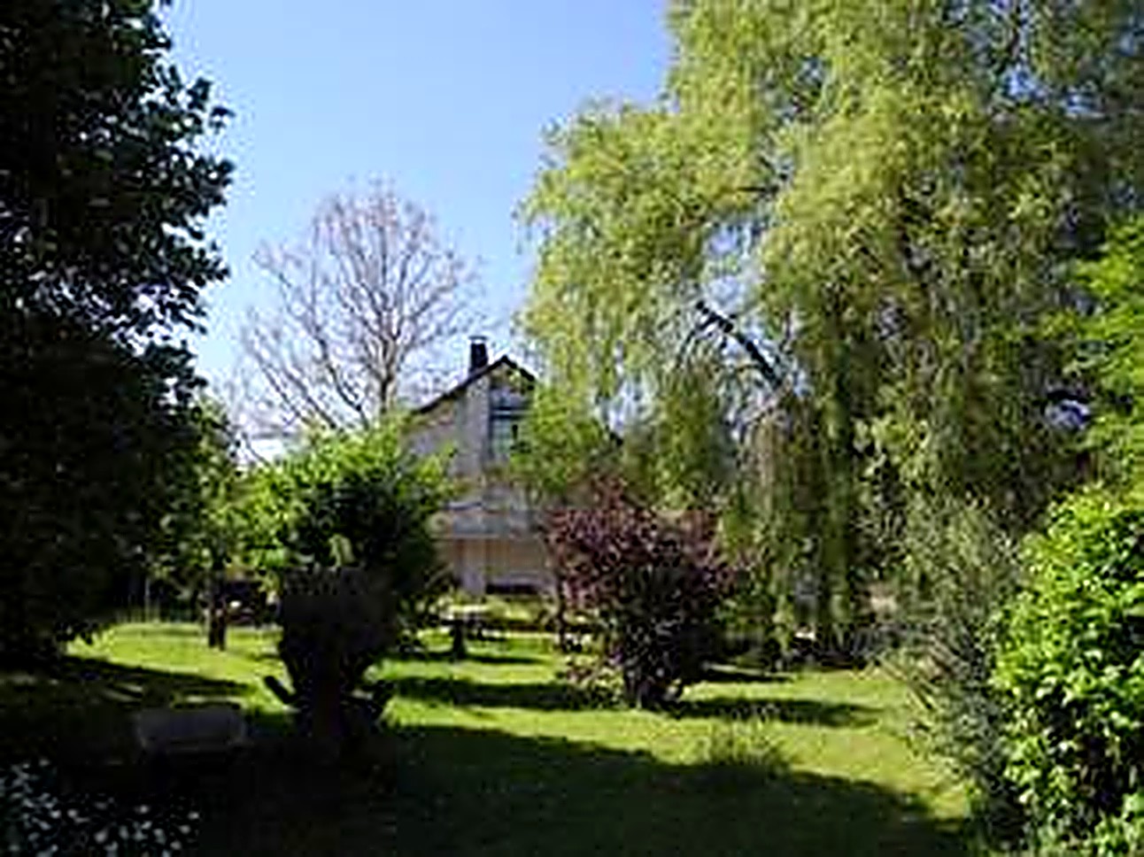 Einfamilienhaus mit Einliegerwohnung in Bitburg-Erdorf