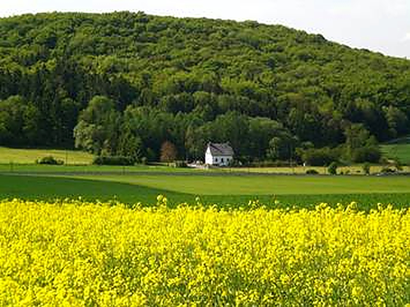 Baugrundstück in bevorzugter Lage von Bitburg